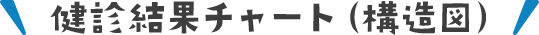 健診結果チャート（構造図）