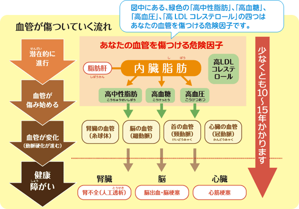 血管が傷ついていく流れ